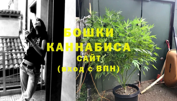 молекула духа Щучье