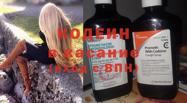 гашик Щигры