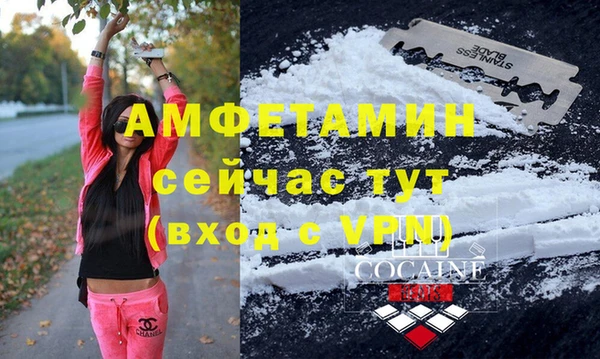 гашик Щигры