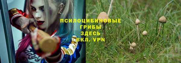 СК Шадринск