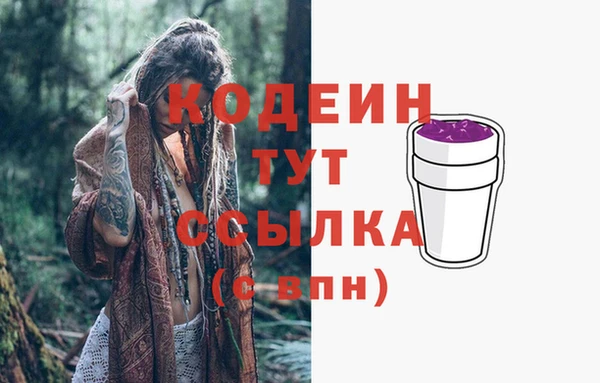 молекула духа Щучье
