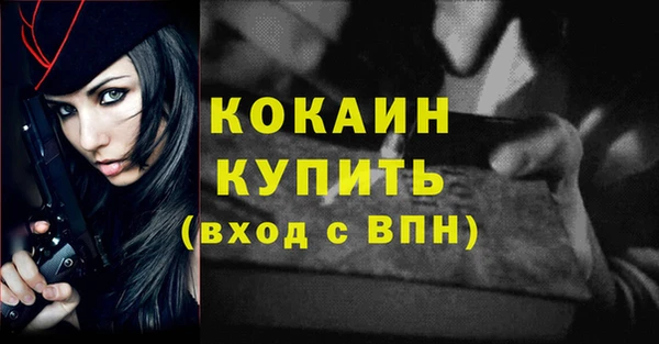 гашик Щигры