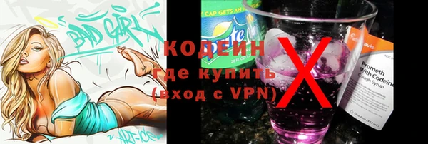 гашик Щигры