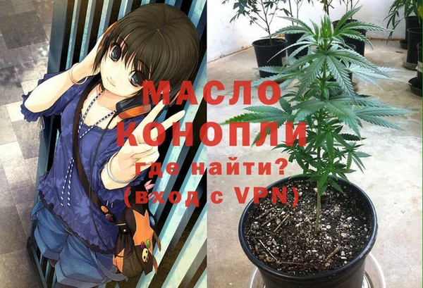 молекула духа Щучье