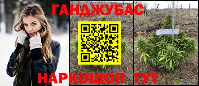 амф Гай