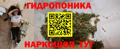экстази Гатчина
