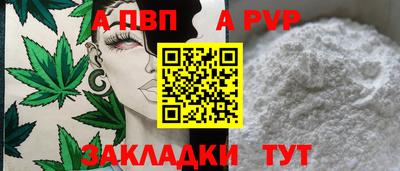 амф Гай